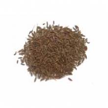ALCARAVEa