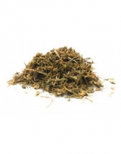 ASIATIC PENNYWORT