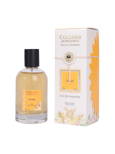 EAU TOILETTE AMBRE